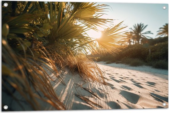 Tuinposter – Zon - Palmbomen - Planten - Zand - 90x60 cm Foto op Tuinposter (wanddecoratie voor buiten en binnen)
