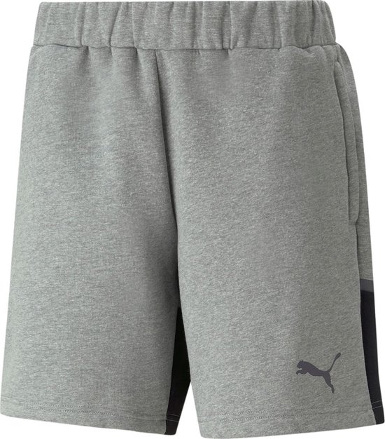 Puma Team Cup Casuals Short Heren - Grijs | Maat: M