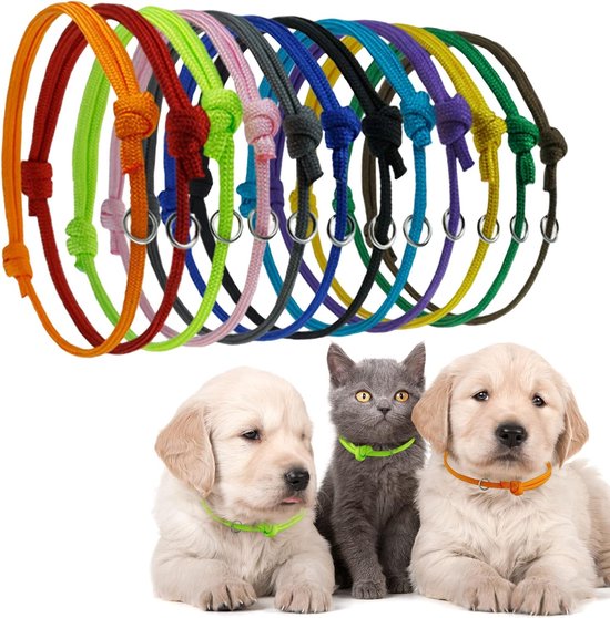 Une rangée de 12 colliers d'identification de différentes couleurs au-dessus de trois chiots et un chaton.