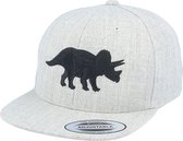 Hatstore- Kids Triceratops Heather Grey Snapback - Kiddo Cap Cap