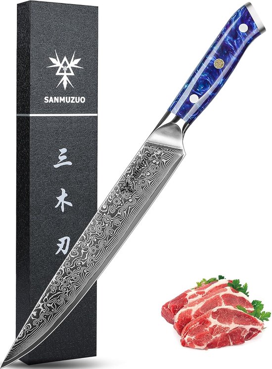 Vleesmes Damastmes, Trancheermes 23 cm Professioneel scherp Keukenmes 67 lagen Japans damaststaal VG10 met Hars Handvat - Xuan serie(Saffier blauw)