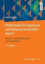 Mathematik für Ingenieure und Naturwissenschaftler 01