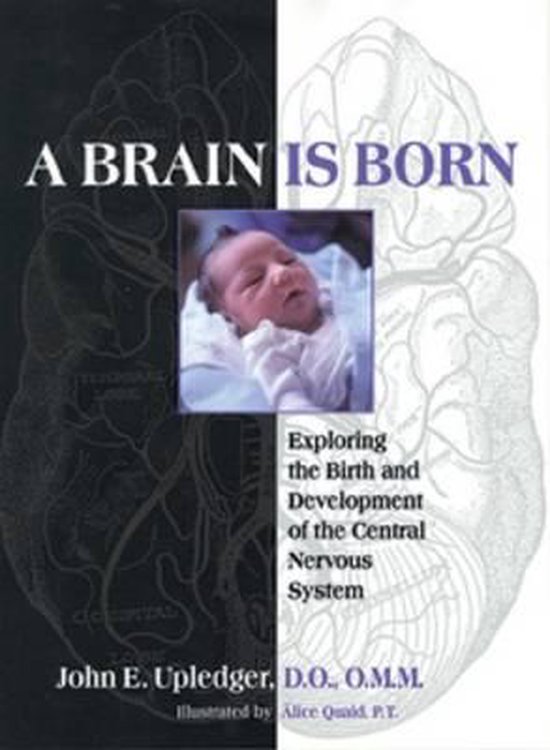 A Brain is Born