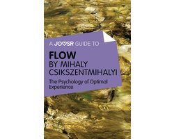 A Joosr Guide to Flow