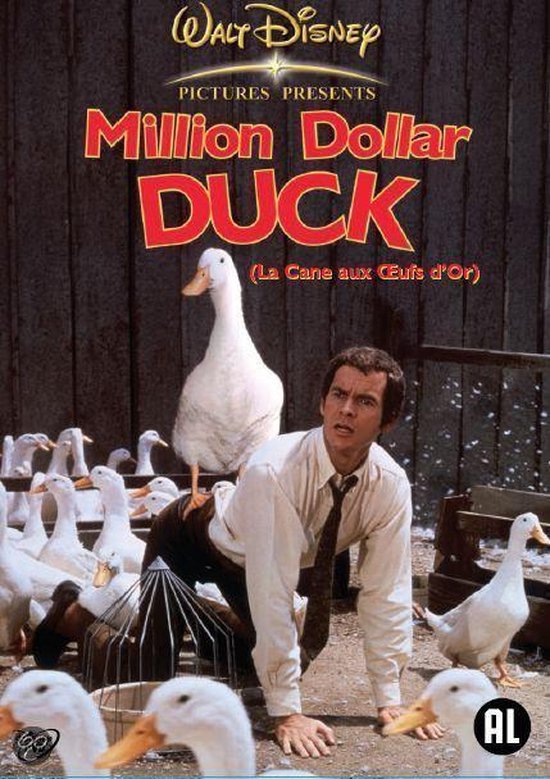 Foto: Million dollar duck