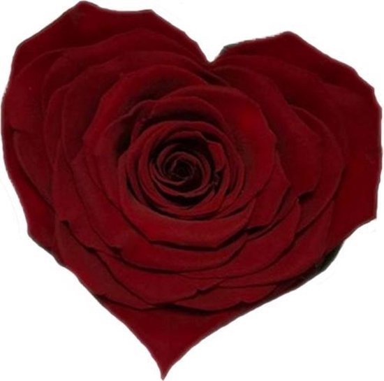 Beste bol.com | Donker rode rozen kop in hartvorm KV-13