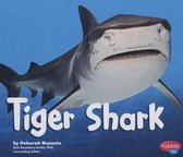 Tiger Shark