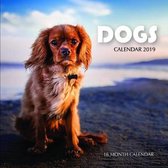 Dogs Calendar 2019