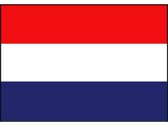 Klassieke Nederlandse vlag 20 x 30 cm