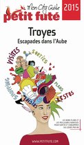 Troyes 2015 Petit Futé