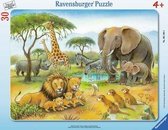 Ravensburger puzzel Africa's Wildlife - Legpuzzel - 30 stukjes