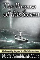 The Purpose of This Storm