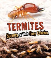 Termites