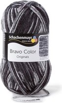 Schachenmayr Bravo Color 50 Gram - 2114