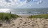 Fotobehang duinen en strand Strandopgang Noordzee 450 x 260 cm - € 295,--