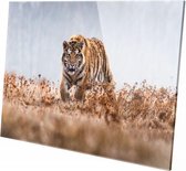 Tijger | 60 x 40 CM| Wanddecoratie | Dieren op plexiglas | Schilderij | Plexiglas | Schilderij op plexiglas