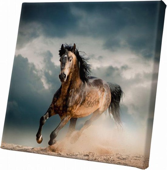 Paard | 100 x 100 CM | Wanddecoratie | Dieren op canvas | Schilderij |  Canvasdoek |... | bol.com