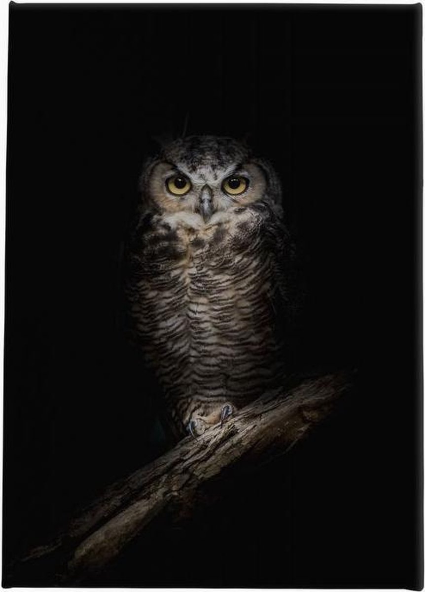 Uil zwart-wit | 40 x 60 CM | Wanddecoratie | Dieren op canvas |Schilderij | Canvasdoek | Schilderij op canvas