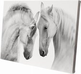 Witte paarden close up | 90 x 60 CM | Wanddecoratie | Dieren op canvas |Schilderij | Canvasdoek | Schilderij op canvas