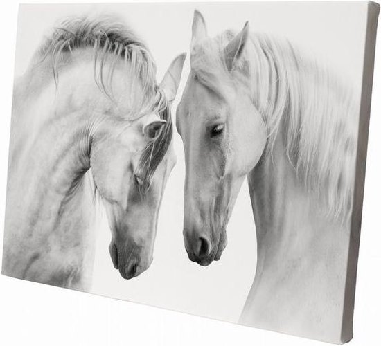 Witte paarden close up | | Wanddecoratie | Dieren op canvas | Canvasdoek | Schilderij op canvas