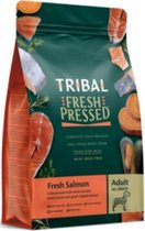 Tribal adult - Salmon 2.5 Kilo