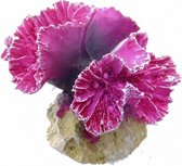 Auqa Della Coralmodule symphylia coral S - 8x8x7CM