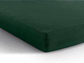Comfortabele Jersey Lits-jumeaux Hoeslaken Botanisch Groen | 160/180x200 | Zacht En Dichtgebreid | Rondom Elastiek