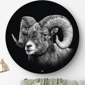 HIP ORGNL Schilderij Aries - Ram - ⌀40cm - Wandcirkel dieren - Zwart wit