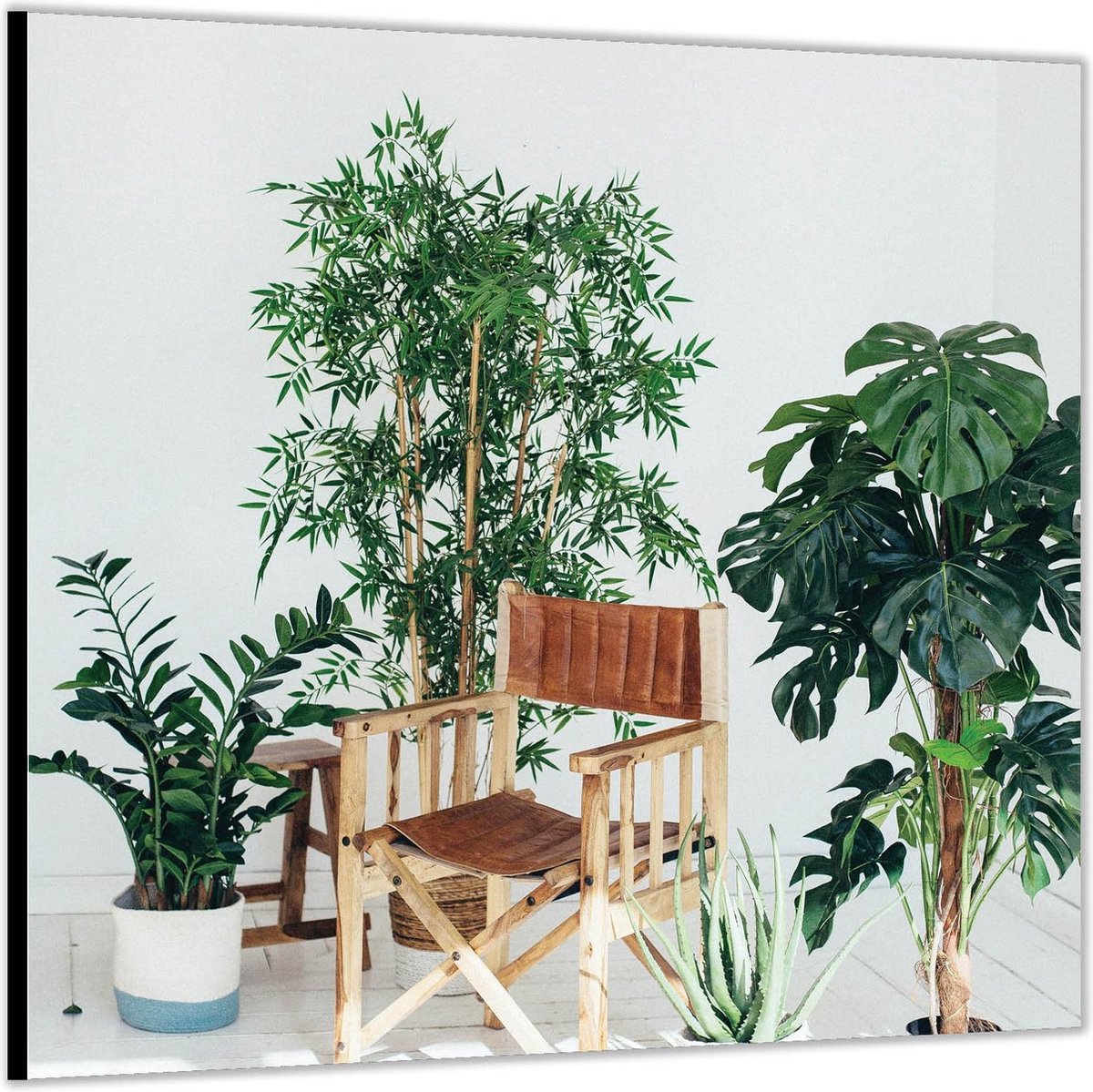 Dibond –Tuinstoeltje tussen Planten-50x50 Foto op Aluminium (Met ophang)