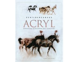 Schildercursus Acryl
