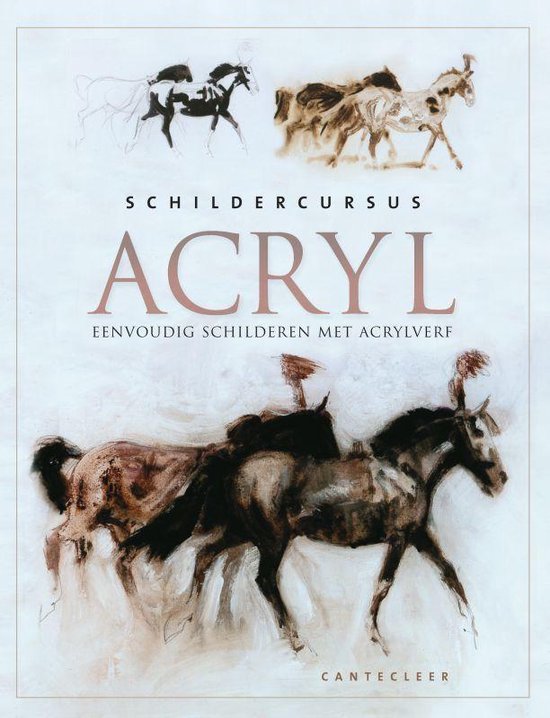 Schildercursus Acryl, Onbekend | 9789021334004 | Boeken | bol.com