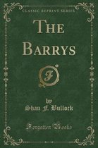 The Barrys (Classic Reprint)