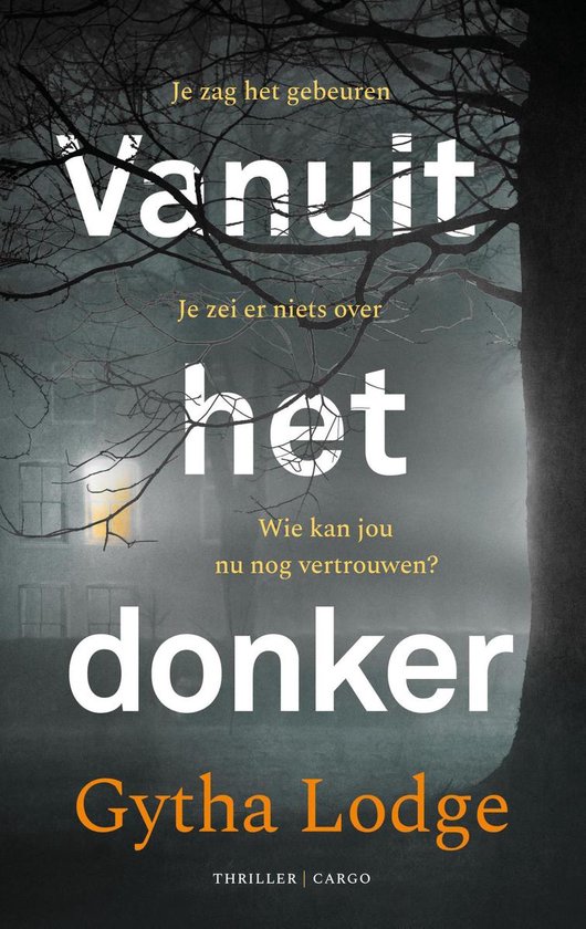 Vanuit het donker - cover