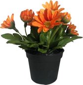 Kunstplant - In Pot - Margrietje - Oranje - In cadeauverpakking met gekleurd lint