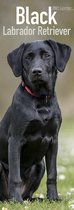 Calendrier Labrador Retriever Zwart 2021 Slimline