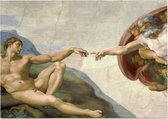 Schepping van Adam, Michelangelo Buonarroti - Foto op Posterpapier - 59.4 x 42 cm (A2)