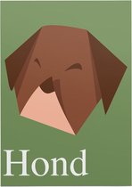 Poster Kleine hond (Forex) - 50 x 70 cm (B2)