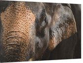 Aziatische olifant op zwarte achtergrond - Foto op Canvas - 60 x 40 cm