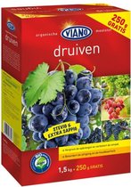 Viano Druiven 1,5 kg + 250 g gratis
