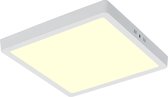 LED Paneel - 30x30 Warm Wit 3000K - 28W Opbouw Vierkant - Mat Wit - Flikkervrij - BES LED