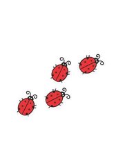 LADYBUG Composition Notebook