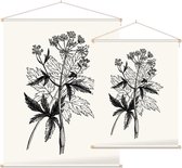 Physospermum Cornubiense zwart-wit (Cornish Bladder Seed) - Foto op Textielposter - 90 x 120 cm