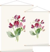 Pronkerwt (Annual Pea) - Foto op Textielposter - 120 x 180 cm