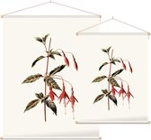 Bellenplant (Fuchsia White) - Foto op Textielposter - 60 x 80 cm