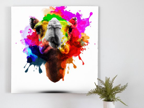 Rainbow Burst Camel kunst - 100x100 centimeter op Canvas | Foto op Canvas - wanddecoratie