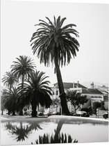 WallClassics - Acrylglas - Palmbomen in Amerikaanse Buurt (Zwart- wit) - 75x100 cm Foto op Acrylglas (Met Ophangsysteem)