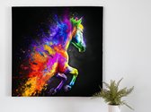 Equine Chromatics kunst - 100x100 centimeter op Plexiglas | Foto op Plexiglas - wanddecoratie