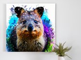Rainbow quokka splatter | Rainbow Quokka Splatter | Kunst - 60x60 centimeter op Canvas | Foto op Canvas - wanddecoratie schilderij