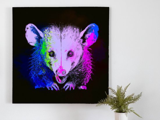 Possible possum power | Possible Possum Power | Kunst - 80x80 centimeter op Dibond | Foto op Dibond - wanddecoratie schilderij