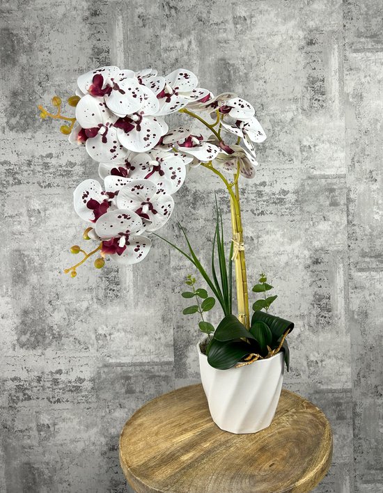 Kunstplant Vlinderorchidee groen in pot H 50 cm kopen